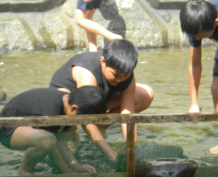 つかみ取り画像④