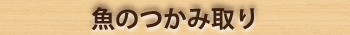 タイヤチューブラフティング